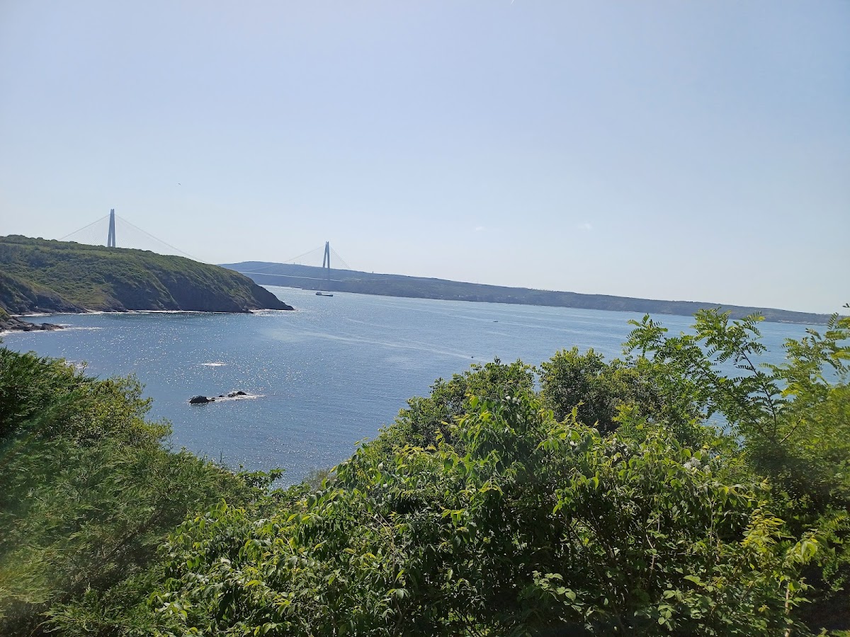 Fener Balık Restaurant Photos 2